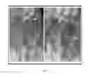 Fig. 07 - Compositions and methods for cancer detection and treatment