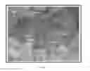 Fig. 09 - Compositions and methods for cancer detection and treatment