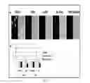 Fig. 10 - Compositions and methods for cancer detection and treatment