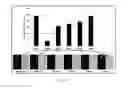 Fig. 11 - Compositions and methods for cancer detection and treatment