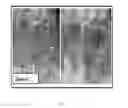 Fig. 16 - Compositions and methods for cancer detection and treatment