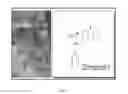 Fig. 23 - Compositions and methods for cancer detection and treatment