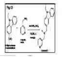 Fig. 24 - Compositions and methods for cancer detection and treatment