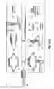 Fig. 02 - Compounds and methods for myotonic dystrophy therapy