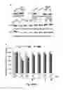 Fig. 04 - Compounds and methods for myotonic dystrophy therapy