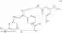 Fig. 23 - Compounds and methods for myotonic dystrophy therapy