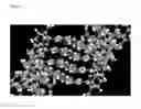 Fig. 08 - Solid forms of 3-(6-(1-(2,2-difluorobenzo[d][1,3]dioxol-5-yl)cyclopropanecarboxamido)-3-methylpyridin-2-yl) benzoic acid