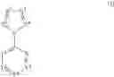 Fig. 02 - Pyruvate kinase M2 modulators, therapeutic compositions and related methods of use