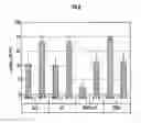 Fig. 10 - SMALL COMPOUNDS TARGETING TACC3
