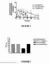 Fig. 02 - METHOD OF TREATMENT OR PROPHYLAXIS INFTAMMATORY PAIN