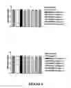 Fig. 06 - METHOD OF TREATMENT OR PROPHYLAXIS INFTAMMATORY PAIN
