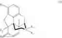 Fig. 05 - Deuterated morphine derivatives