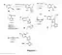 Fig. 07 - Benzoxazepin PI3K inhibitor compounds and methods of use
