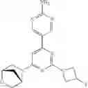 Fig. 259 - Biheteroaryl compounds and uses thereof