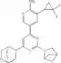 Fig. 363 - Biheteroaryl compounds and uses thereof