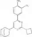 Fig. 451 - Biheteroaryl compounds and uses thereof