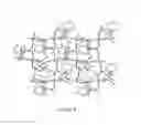 Fig. 09 - Organic anion lithium ionic cocrystal compounds and compositions