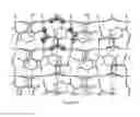 Fig. 29 - Organic anion lithium ionic cocrystal compounds and compositions