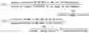 Fig. 02 - Method for preparing oxyborane compounds