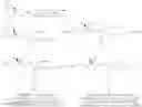 Fig. 14 - Phosphatidylalkanols and compositions thereof