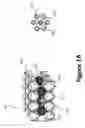 Fig. 02 - Hydroxide catalysts for lignin depolymerization
