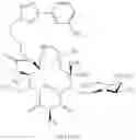 Fig. 1002 - Macrolides and methods of their preparation and use