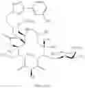Fig. 1003 - Macrolides and methods of their preparation and use