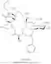 Fig. 1025 - Macrolides and methods of their preparation and use