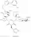 Fig. 1032 - Macrolides and methods of their preparation and use