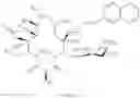 Fig. 1068 - Macrolides and methods of their preparation and use