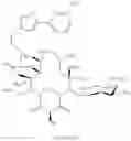 Fig. 1069 - Macrolides and methods of their preparation and use