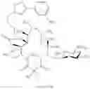Fig. 1079 - Macrolides and methods of their preparation and use