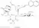 Fig. 1090 - Macrolides and methods of their preparation and use