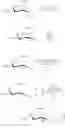 Fig. 1111 - Macrolides and methods of their preparation and use