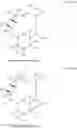 Fig. 122 - Macrolides and methods of their preparation and use