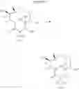 Fig. 269 - Macrolides and methods of their preparation and use