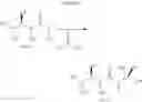Fig. 32 - Macrolides and methods of their preparation and use