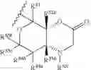 Fig. 350 - Macrolides and methods of their preparation and use