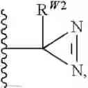 Fig. 389 - Macrolides and methods of their preparation and use