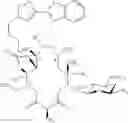 Fig. 510 - Macrolides and methods of their preparation and use