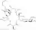 Fig. 511 - Macrolides and methods of their preparation and use
