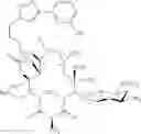 Fig. 525 - Macrolides and methods of their preparation and use