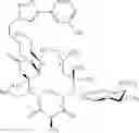 Fig. 545 - Macrolides and methods of their preparation and use