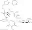 Fig. 559 - Macrolides and methods of their preparation and use