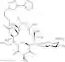 Fig. 563 - Macrolides and methods of their preparation and use