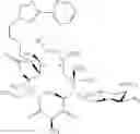 Fig. 568 - Macrolides and methods of their preparation and use
