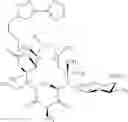 Fig. 569 - Macrolides and methods of their preparation and use
