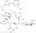 Fig. 584 - Macrolides and methods of their preparation and use