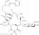 Fig. 595 - Macrolides and methods of their preparation and use