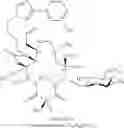 Fig. 602 - Macrolides and methods of their preparation and use